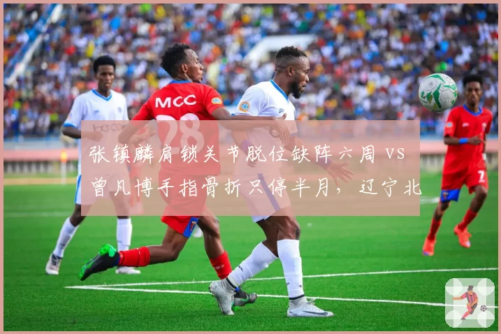 张镇麟肩锁关节脱位缺阵六周 vs 曾凡博手指骨折只停半月，辽宁北京锋线康复时间线对比