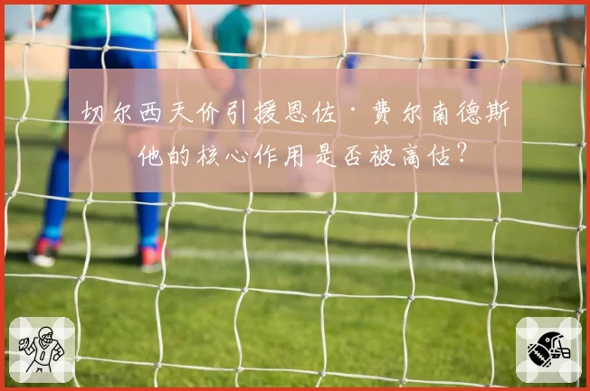 切尔西天价引援恩佐·费尔南德斯，他的核心作用是否被高估？