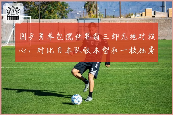 国乒男单包揽世界前三却无绝对核心，对比日本队张本智和一枝独秀的隐忧