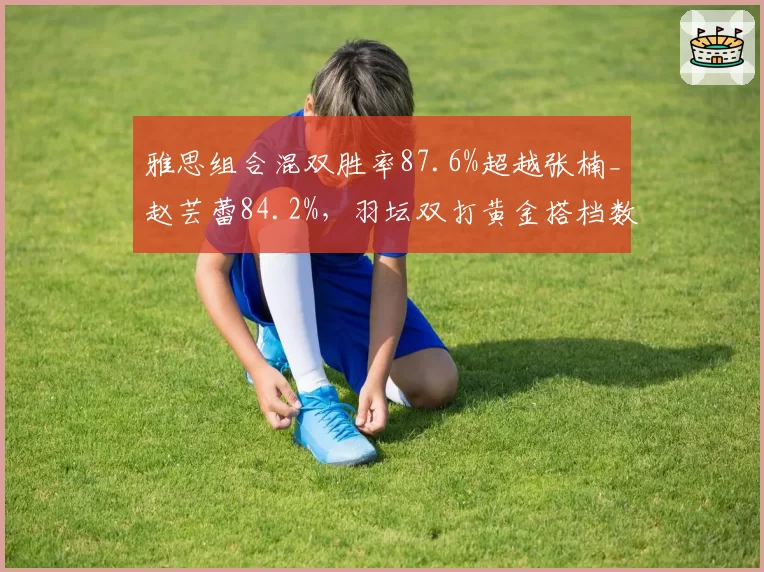 雅思组合混双胜率87.6%超越张楠_赵芸蕾84.2%，羽坛双打黄金搭档数据王座易主